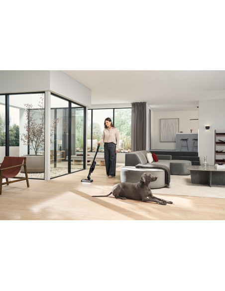 Triflex HX3 Cat & Dog Opsidijan crna - Baterijski usisavači